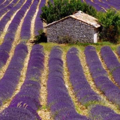 La Provence à vélo, de villages perchés au Mont Ventoux