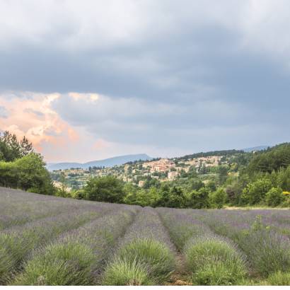 GR® de Pays: Around the Ventoux Massif – Circular hike in the foothills of Mont Ventoux