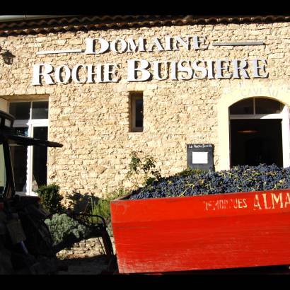 Domaine La Roche Buissière