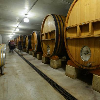 Clos du Calvaire - Domaine viticole