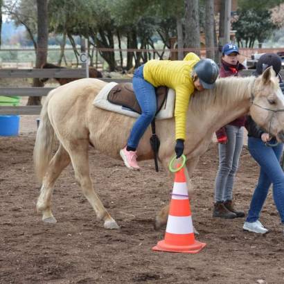 Olympiade à la ferme du Lucky Horse