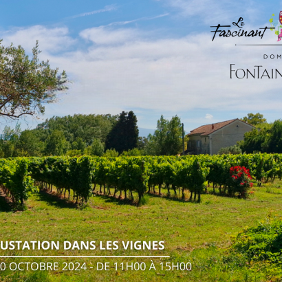 Repas et dégustation dans les vignes au domaine Fontaine du Clos