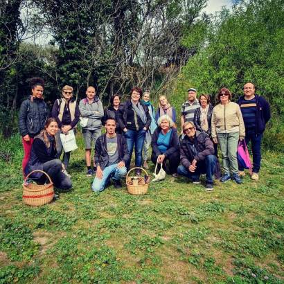 Balade découverte des plantes sauvages comestibles