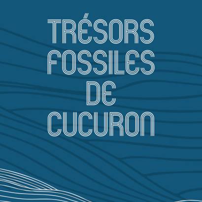 Inauguration de l'exposition Les trésors fossiles de Cucuron