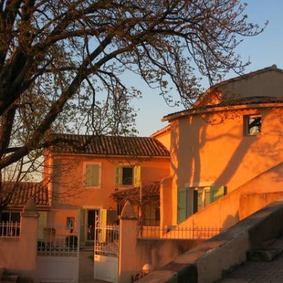 Découverte du domaine viticole Château Cohola avec Ventoux Travel Car