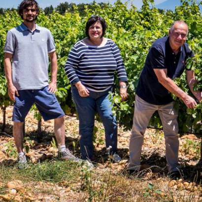 Villeneuve lez Avignon et Sauveterre, terroir et vin dans le Gard