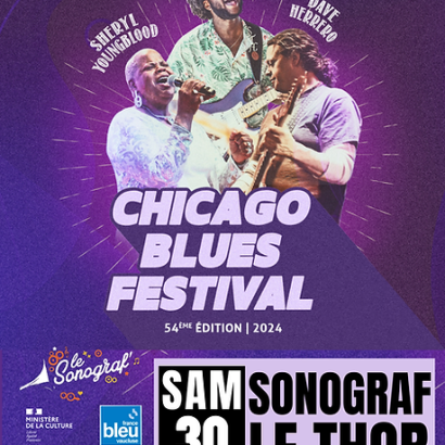 Chicago Blues Festival