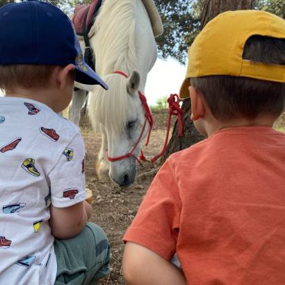 Festival Ventoux Saveurs : Inauguration du nouveau sentier pédagogique