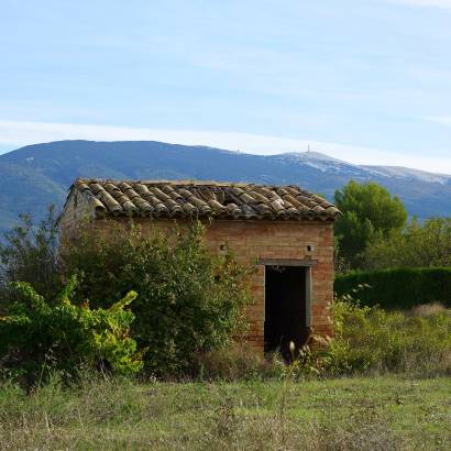 Festival Ventoux Saveurs: Concerts and sculpture exhibition in the heart of the vineyards