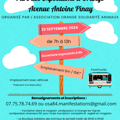 Vide grenier Parc des Expositions