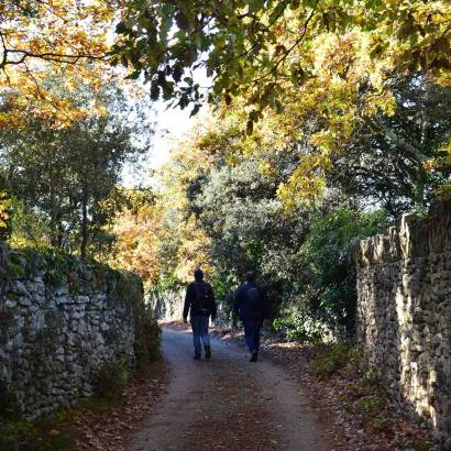 Rando gourmande Au pays de la truffe - avec Destination Luberon Le 23 nov 2024