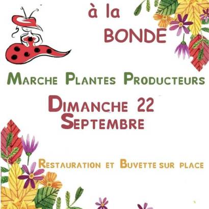 Fleurs à la Bonde : Marché, plantes et producteurs