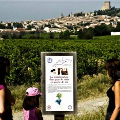 Uitstap naar het hart van de wijngaarden van Châteauneuf-du-Pape