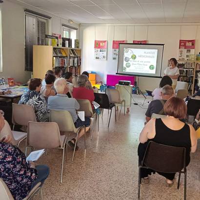 Conférence :  les traditions de Noël au travers des végétaux