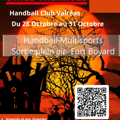 Stage vacances handball et multisports (automne 2)