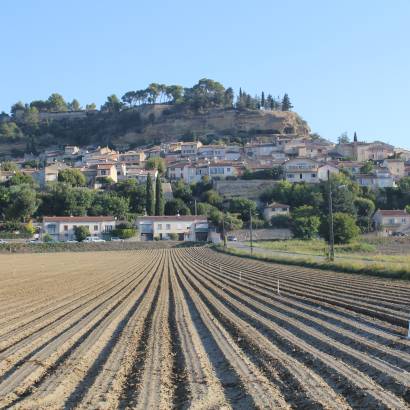 Sortie buissonnière 