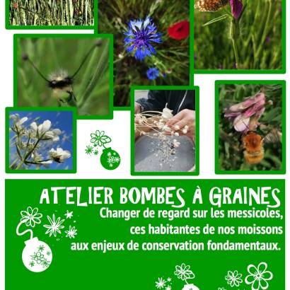 Atelier Bombes à Graines