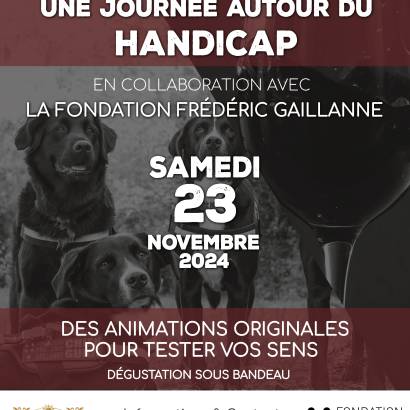 Une journée autour du handicap Le 23 nov 2024