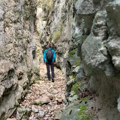 BEDOIN - Combe de Curnier