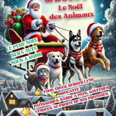 Noël des animaux