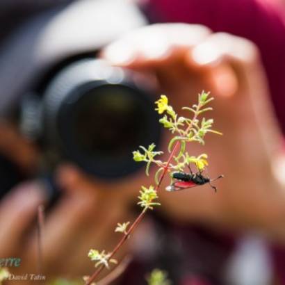 Regards sur la nature Du 21 janv au 22 mars 2025