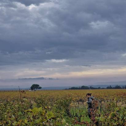 Domaine Elodie Jaume