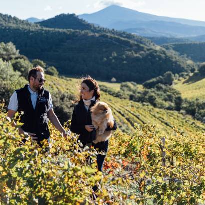 Walk and Tasting at the heart of Dentelles de Montmirail