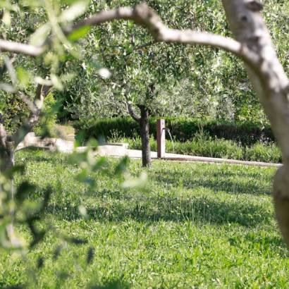 Jardin du Mont Ventoux