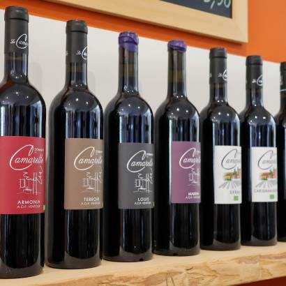 Vignobles en Scène: Well-being & Local Produce at La Camarette