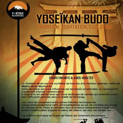 Cours de Yoseïkan Budo 13+