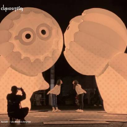 City's Christmas lighting - Les Anooki in Avignon