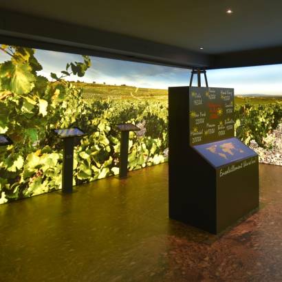 Le Discovery Route at the Wine Museum Maison Brotte