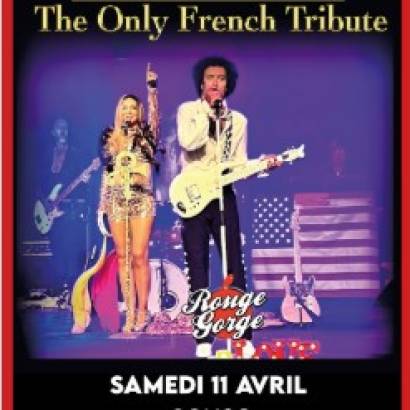 Prince - The Only French Tribute