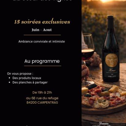 Aperitif in the heart of the vineyard - Domaine Le Clot de Bénou