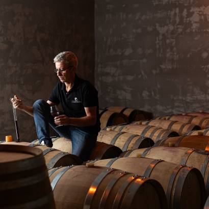 Guided Tour of the Vat Room and Cellar, tasting in the Vat and Aperitive Platter