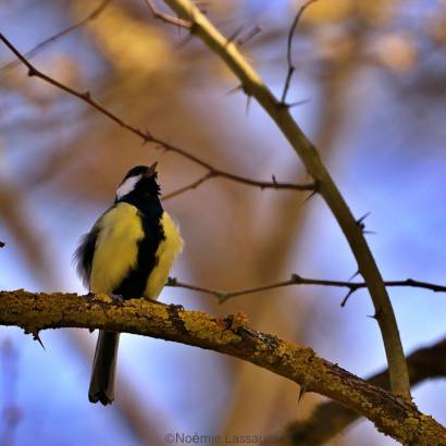 Les Rendez-vous du Parc 2026 - 