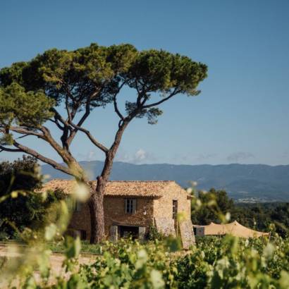 Olive Oil Blending Workshop at Domaine des Perpetus