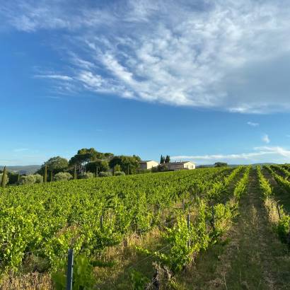 The backstage of Perréal wine estate