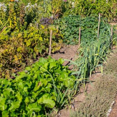 Les rendez-vous du Parc 2026 - Mission goutte à goutte au jardin