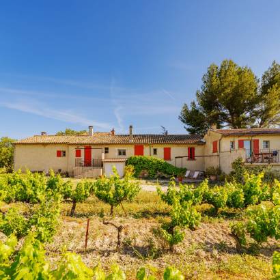 Ventoux Saveurs Festival: Dining with the Ventoux