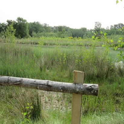 Discovery trail at the Belle-Île wetlands