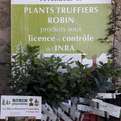 Maison Valayer - Vente de plants truffiers
