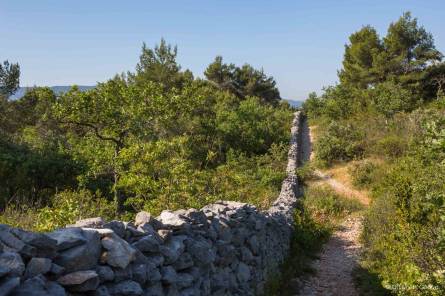 Le Mur de la Peste