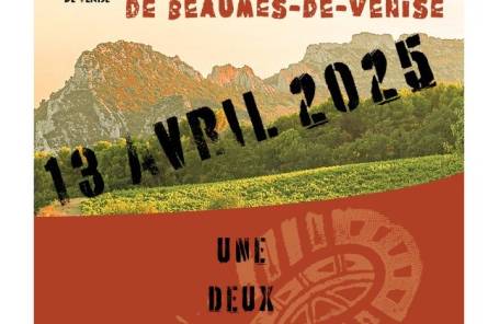 Le Trail de Beaumes-de-Venise (TBV)