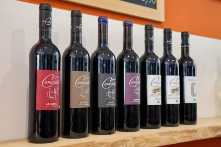 Domaine de la Camarette