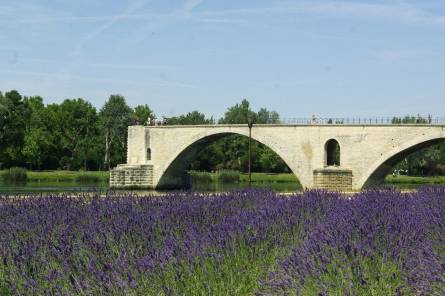 Pont d'Avignon (Saint-Bénezet)