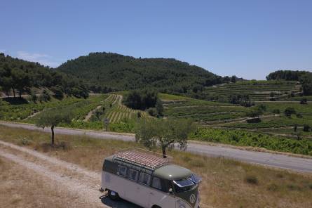 Explore the vineyards in a VW convertible bus