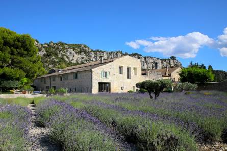 Entre Vigne et Garrigue