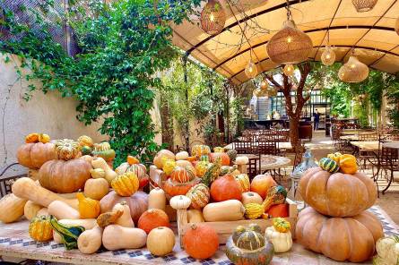 Cookery Workshop at Maison de la Tour