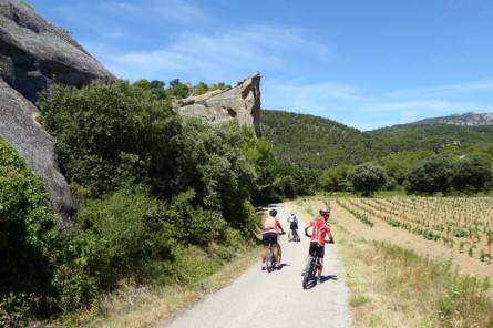 Beaumes-de-Venise, its vineyards and terroirs. Guided bike tour